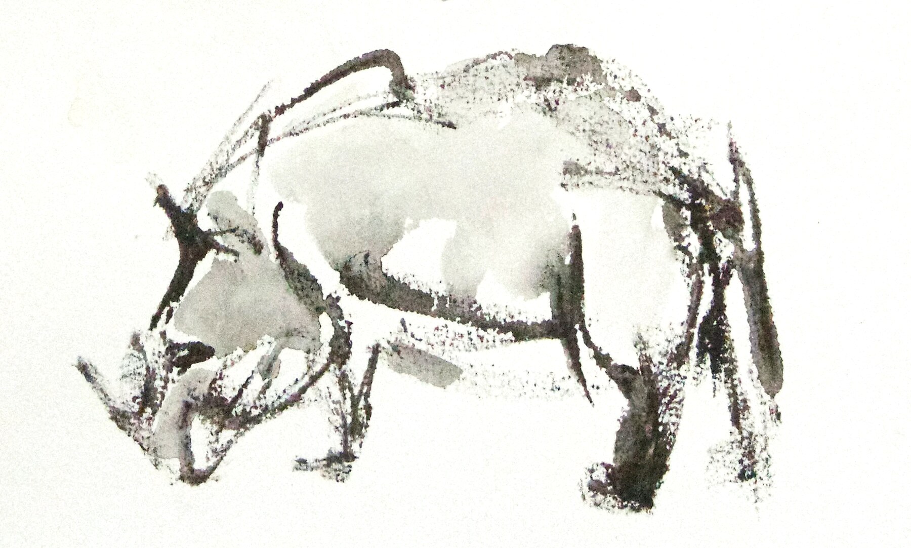 rhino syndrom